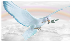 DNSEMP-C-116-D-WT Dove Clouds White